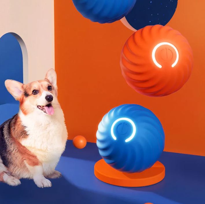 Jouets en caoutchouc pour chiens