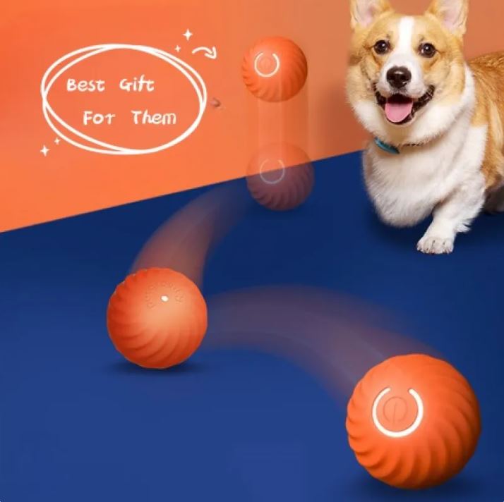 Jouets en caoutchouc pour chiens